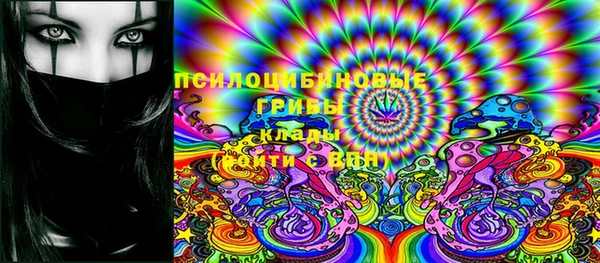PSILOCYBIN Алзамай