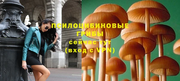 круглые Алексеевка